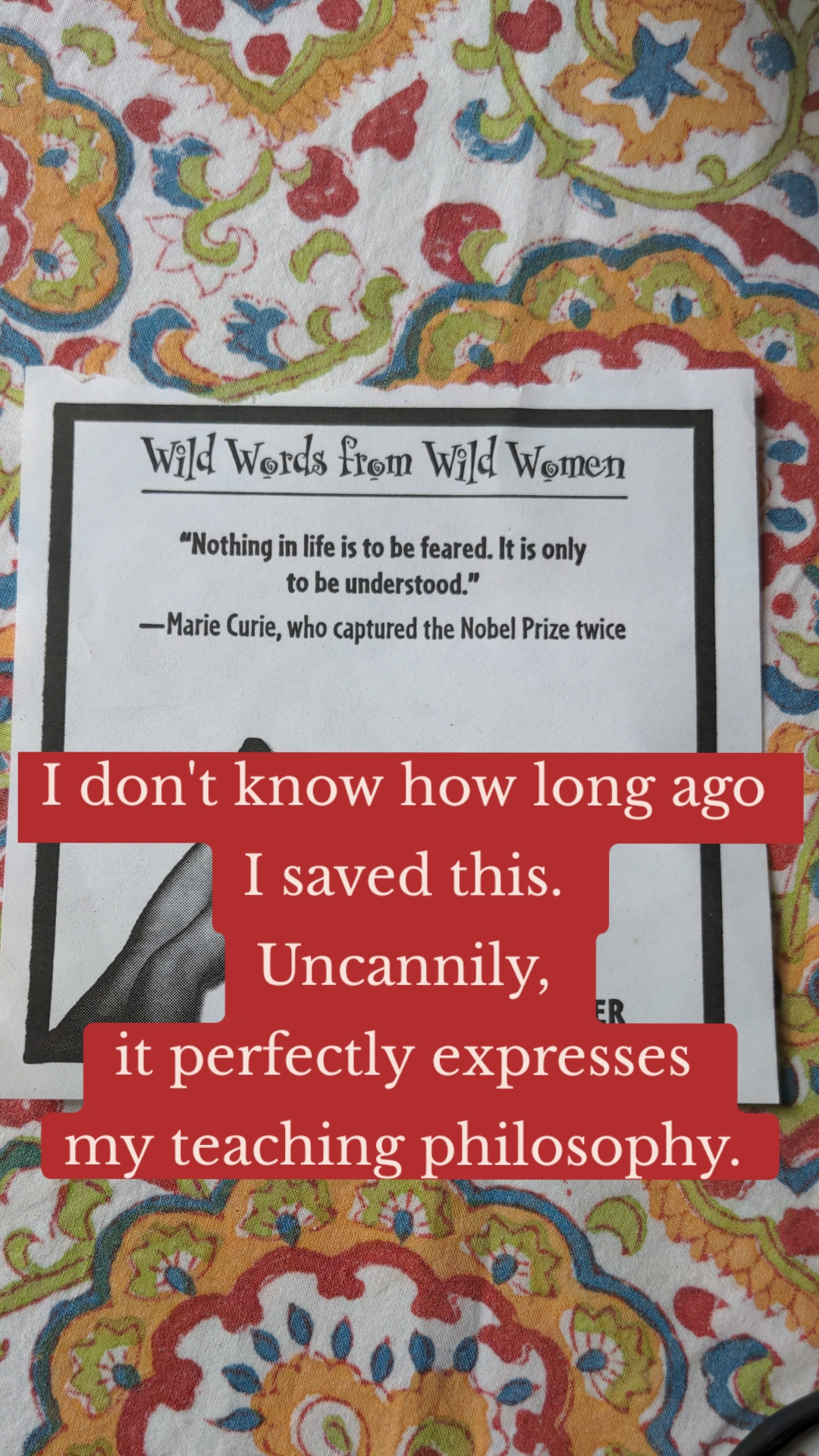 I don't know how long ago 
I saved this. 
Uncannily, 
it perfectly expresses 
my teaching philosophy. 